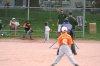 picture_294