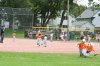 picture_319